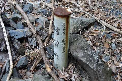 摜