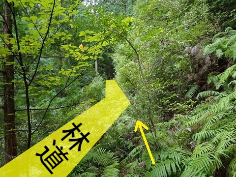 説明
